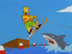 http://www.panelsonpages.com/wp-content/uploads/2009/04/jump_the_shark.gif