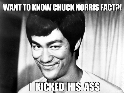 http://www.panelsonpages.com/wp-content/uploads/2012/11/BruceLeeNorrisFact.jpg